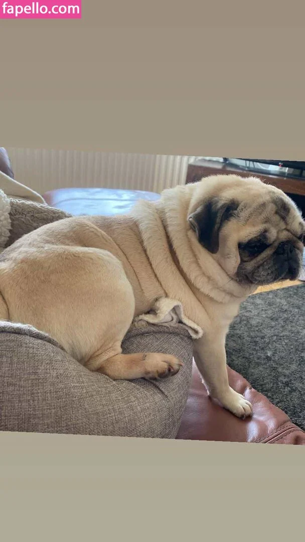 jennynextdoorgirl Onlyfans Photo Gallery 