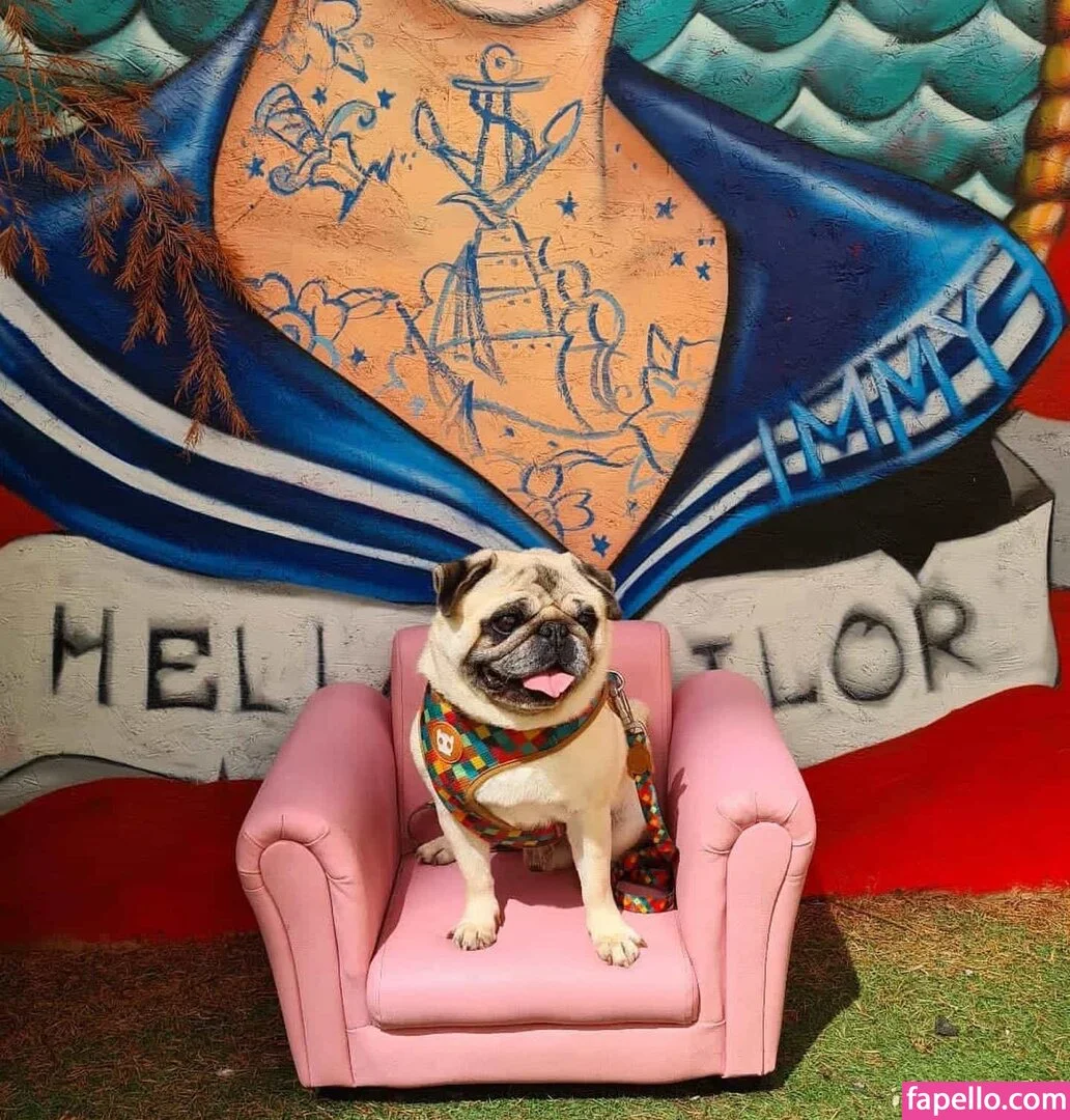 jennynextdoorgirl Onlyfans Photo Gallery 