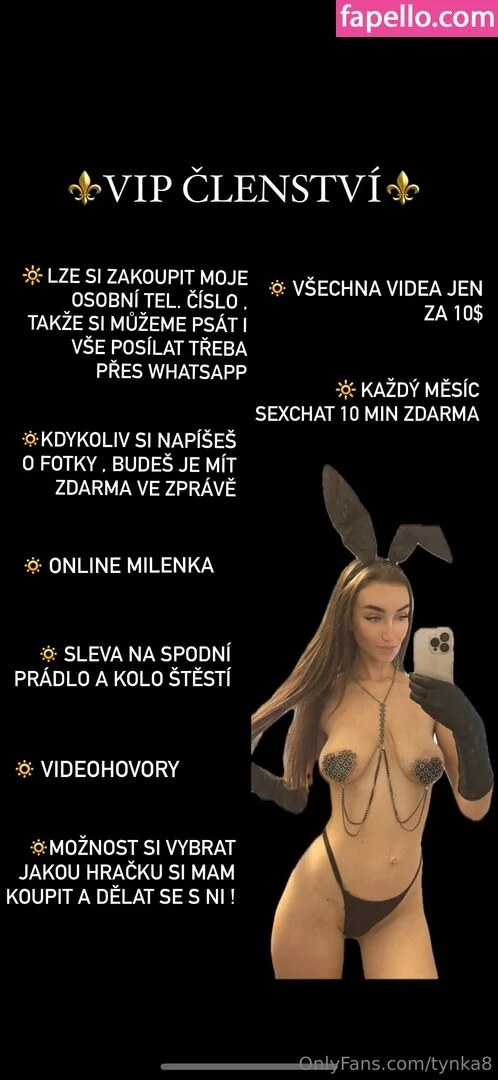 tynka8 Onlyfans Photo Gallery 
