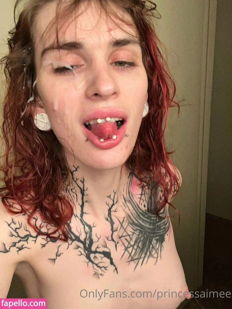 princessaimee Onlyfans Photo Gallery 
