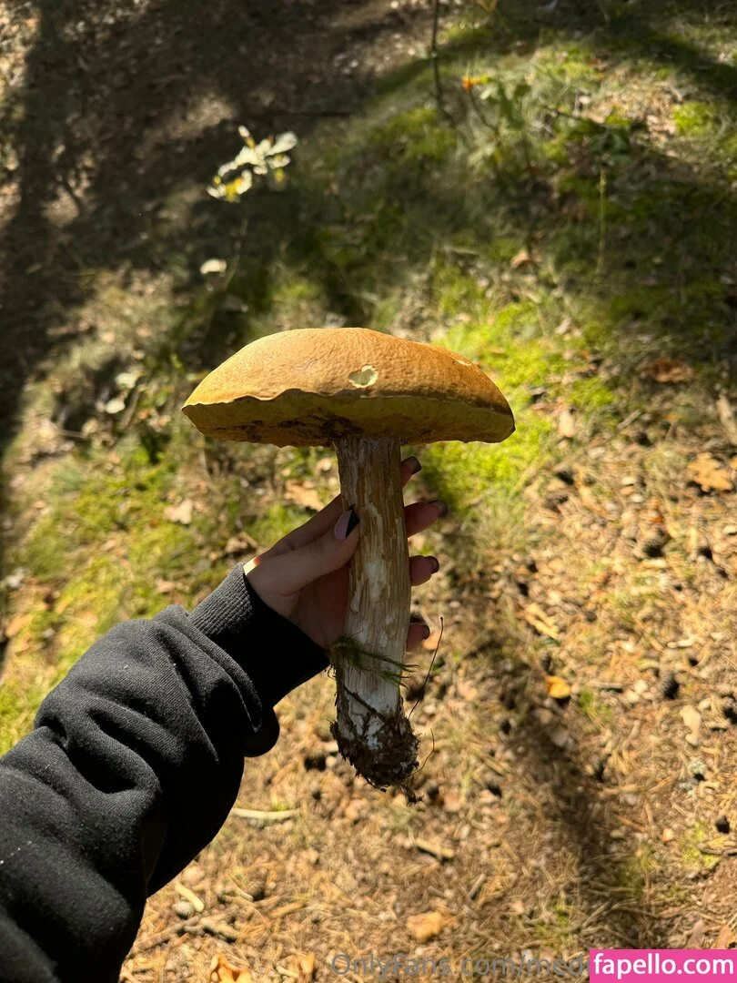 medusa4prsdnt Onlyfans Photo Gallery 