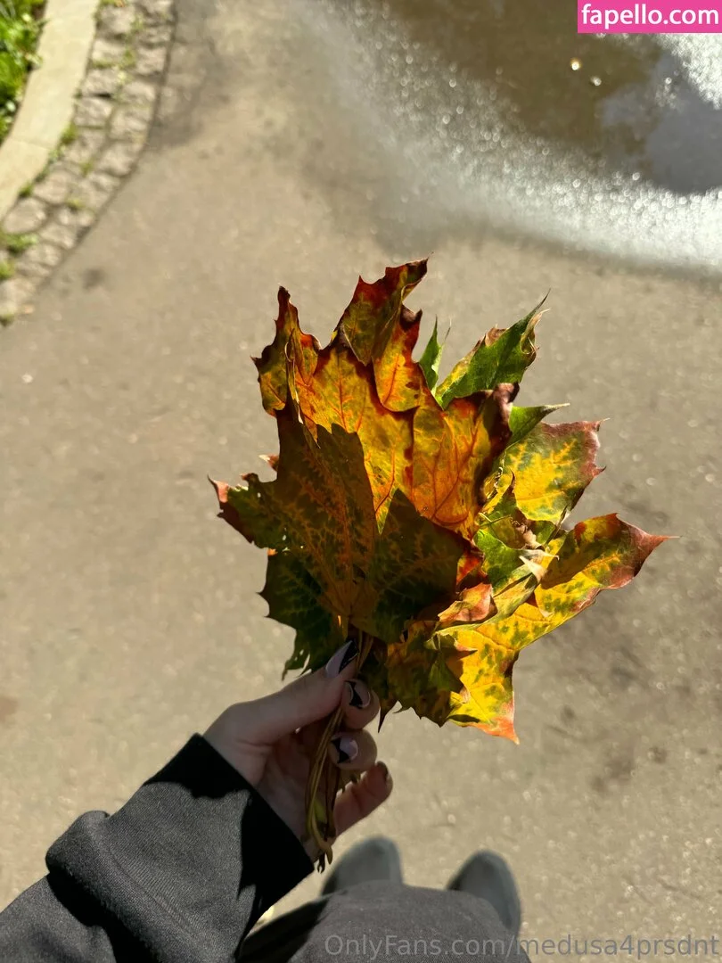 medusa4prsdnt Onlyfans Photo Gallery 