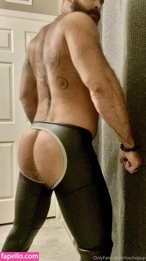 machopup Onlyfans Photo Gallery 