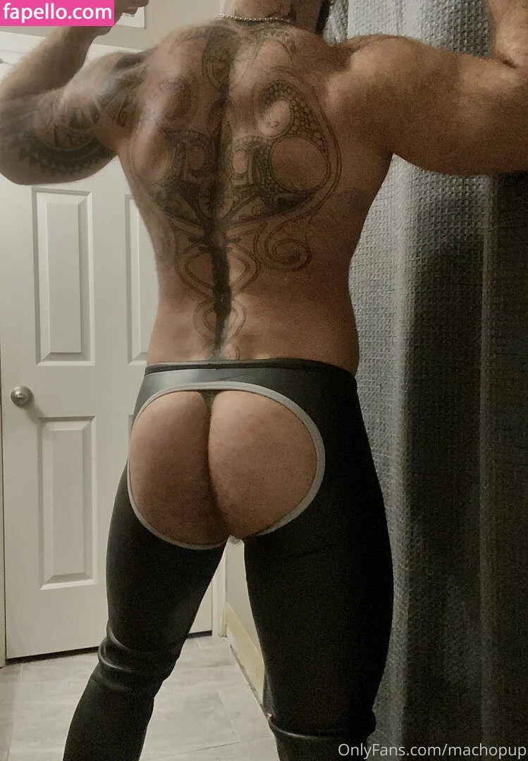 machopup Onlyfans Photo Gallery 