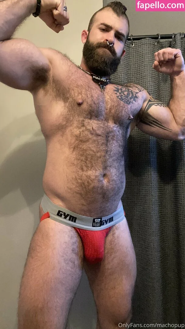 machopup Onlyfans Photo Gallery 