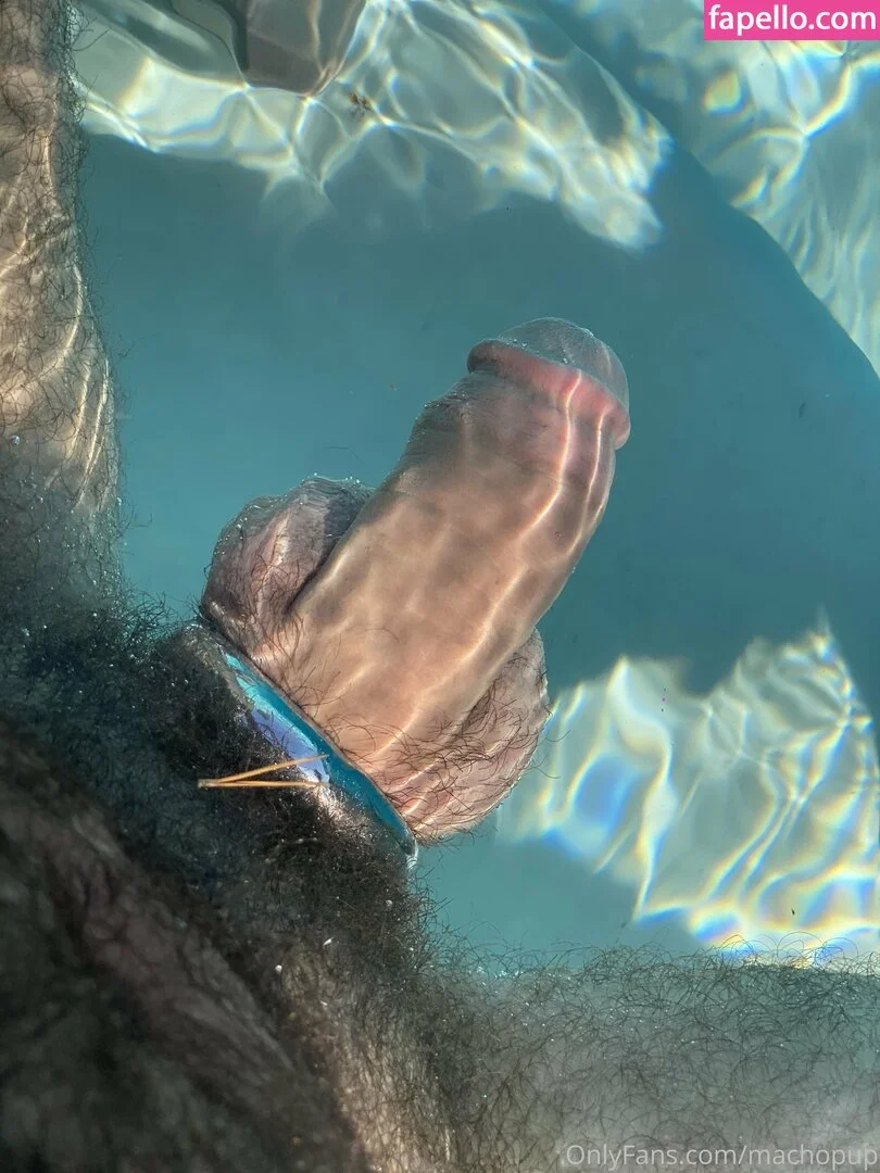 machopup Onlyfans Photo Gallery 