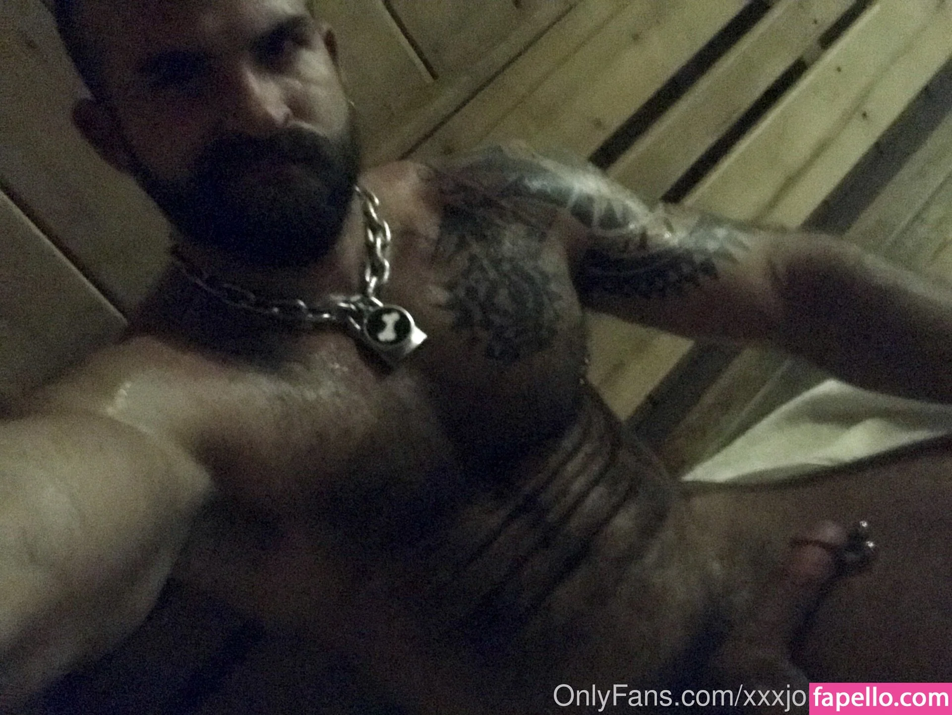 machopup Onlyfans Photo Gallery 