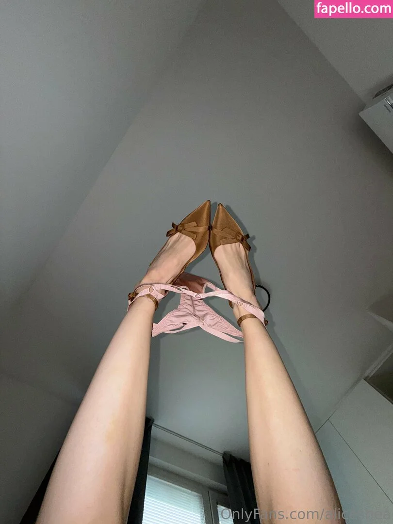 aliceshea Onlyfans Photo Gallery 