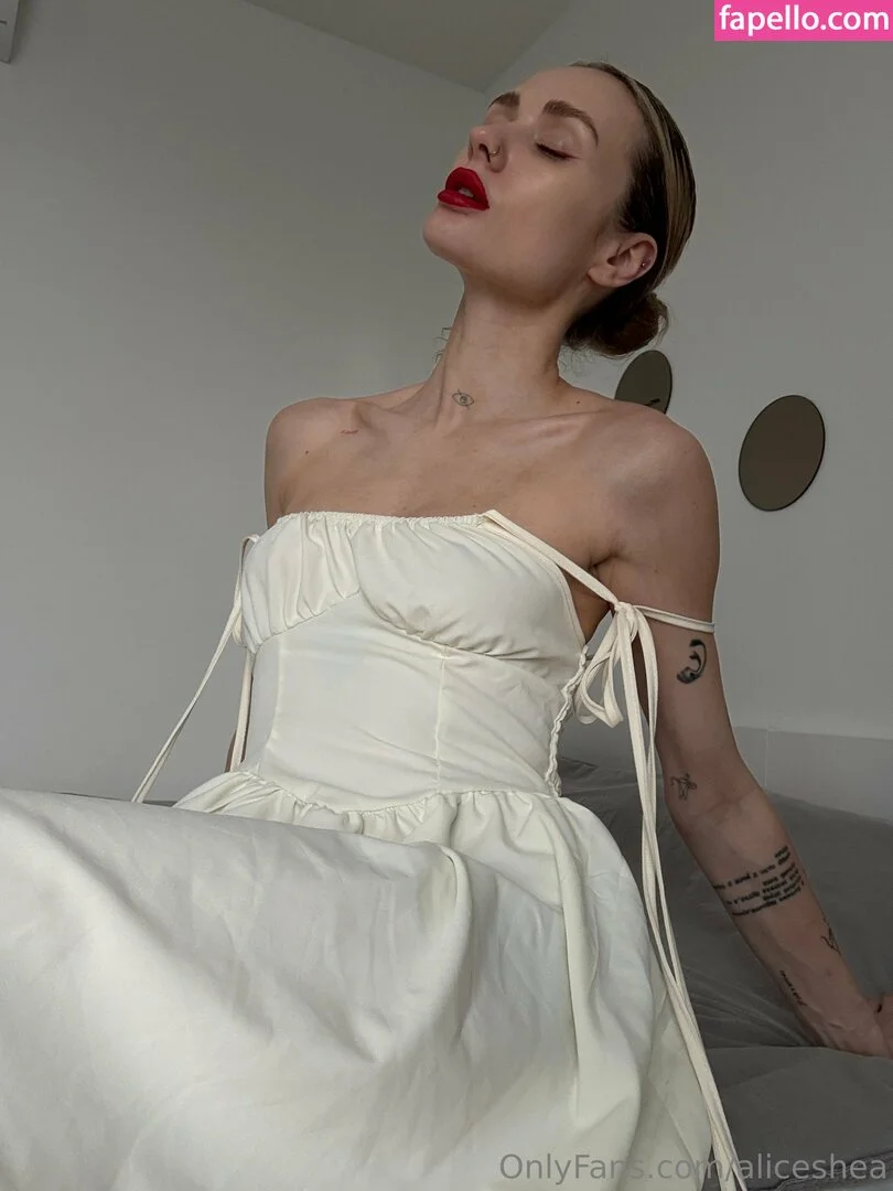 aliceshea Onlyfans Photo Gallery 
