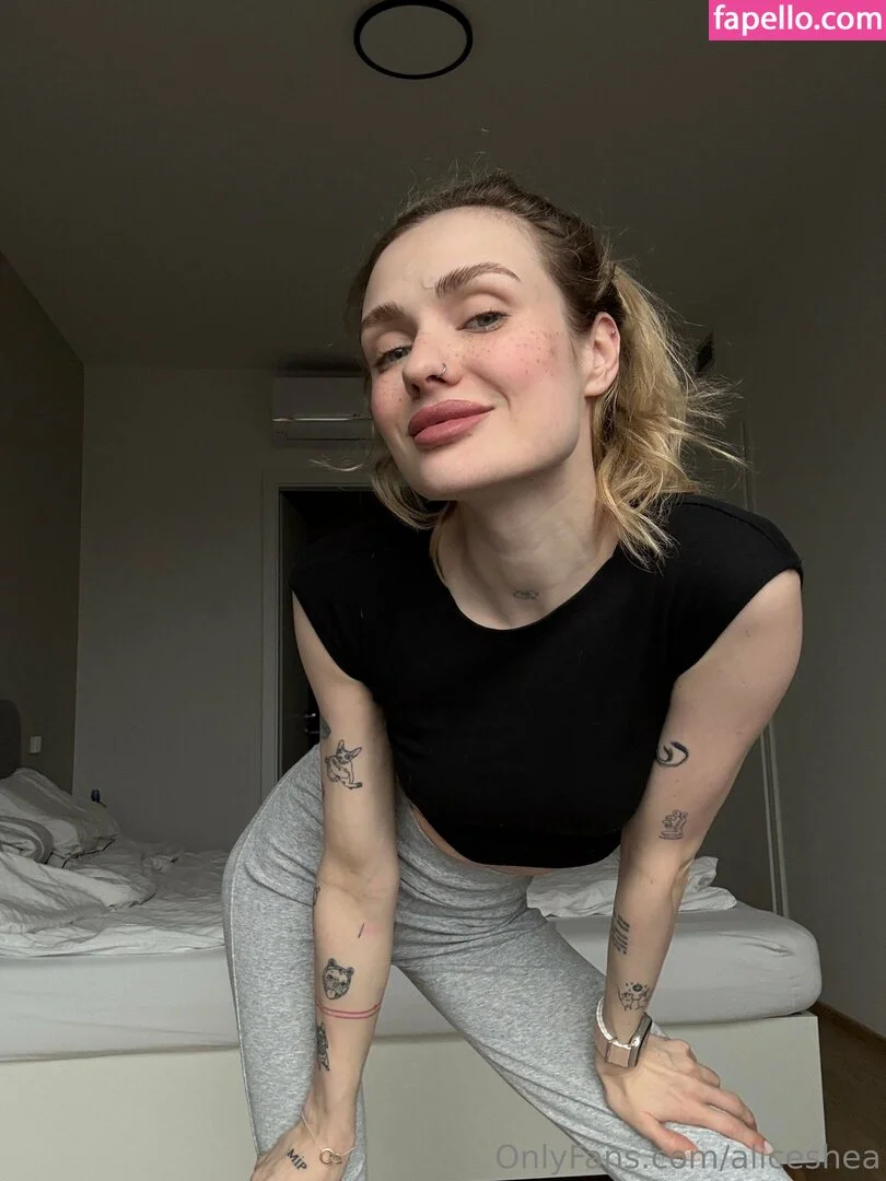 aliceshea Onlyfans Photo Gallery 