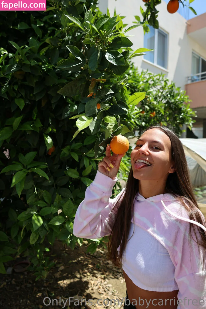 babycarriefree Onlyfans Photo Gallery 