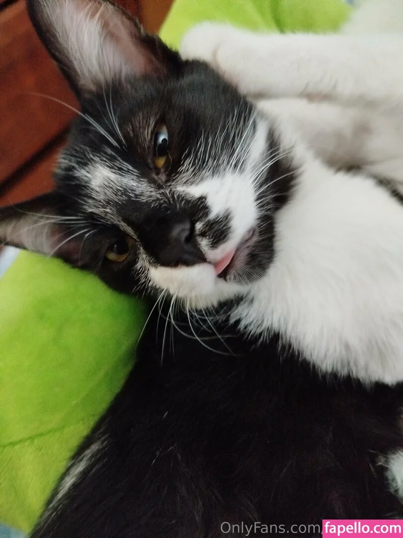 innuvukuu Onlyfans Photo Gallery 