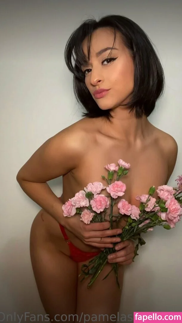 Pamela Sanchez Onlyfans Photo Gallery 