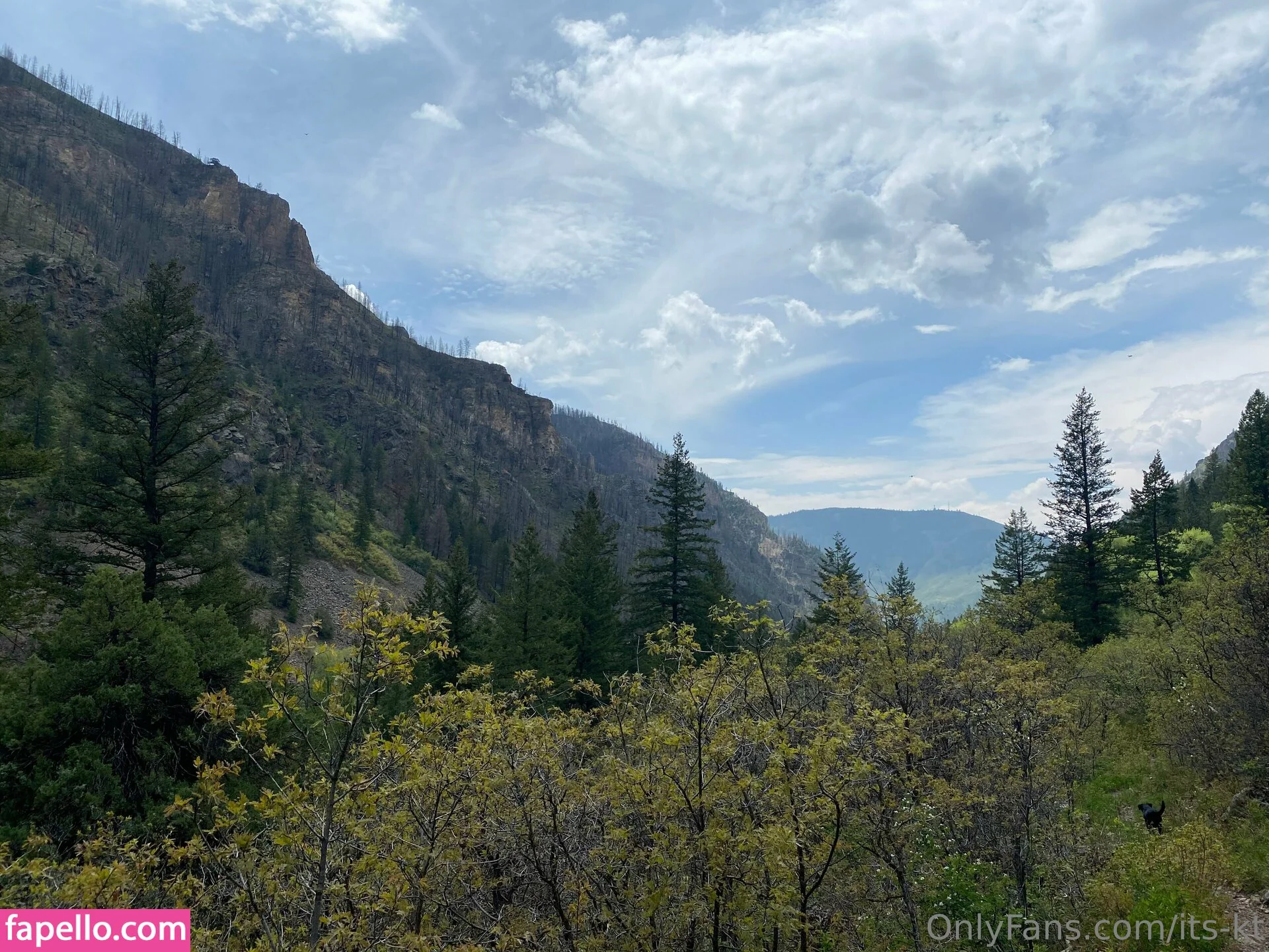 its-kt Onlyfans Photo Gallery 