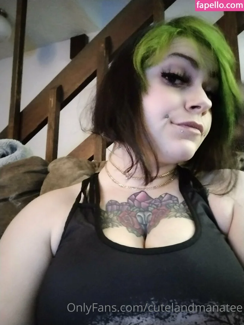 trusteemanatee Onlyfans Photo Gallery 