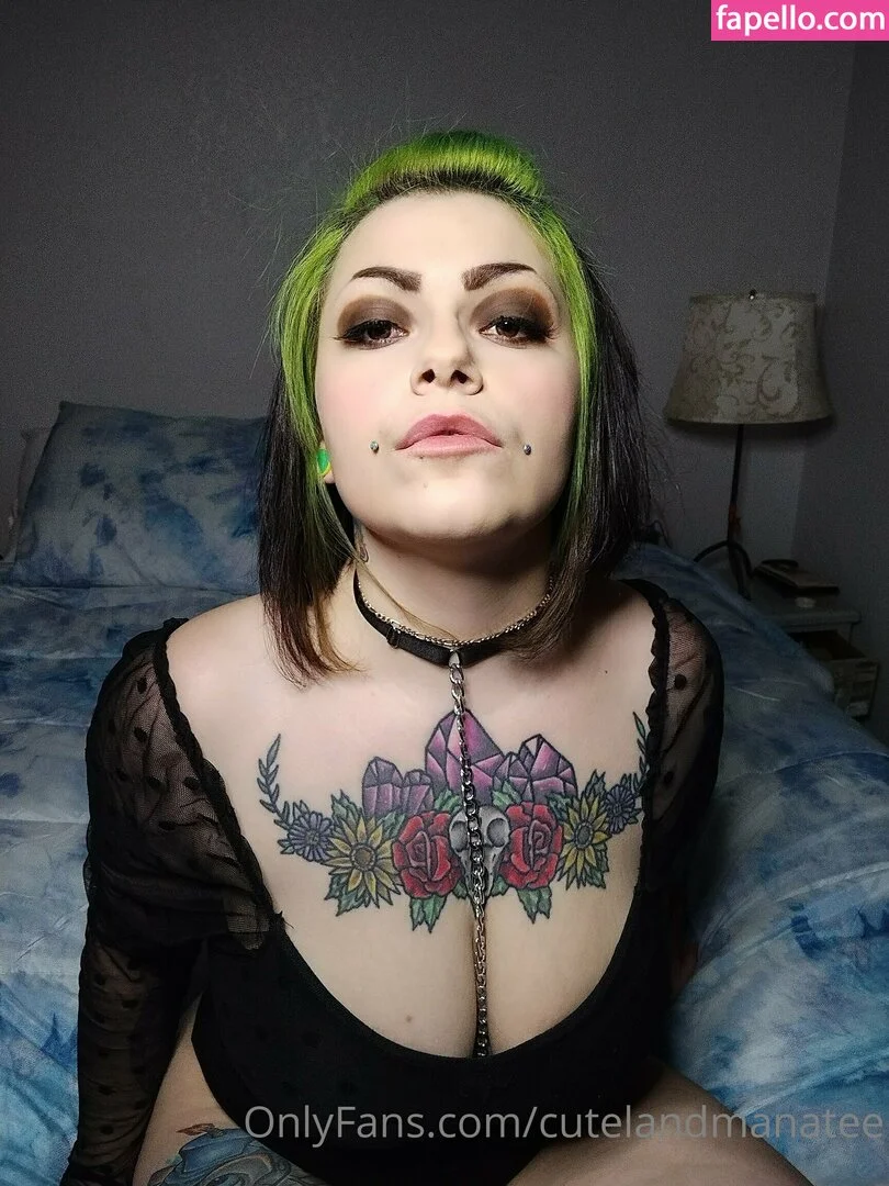 trusteemanatee Onlyfans Photo Gallery 