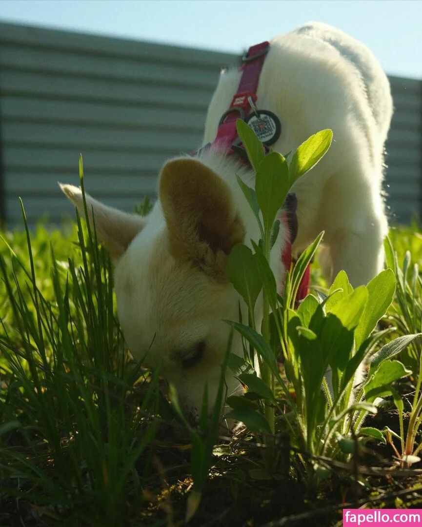 Shelynna Onlyfans Photo Gallery 