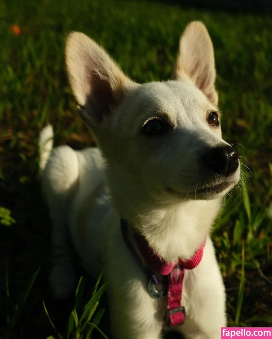 Shelynna Onlyfans Photo Gallery 