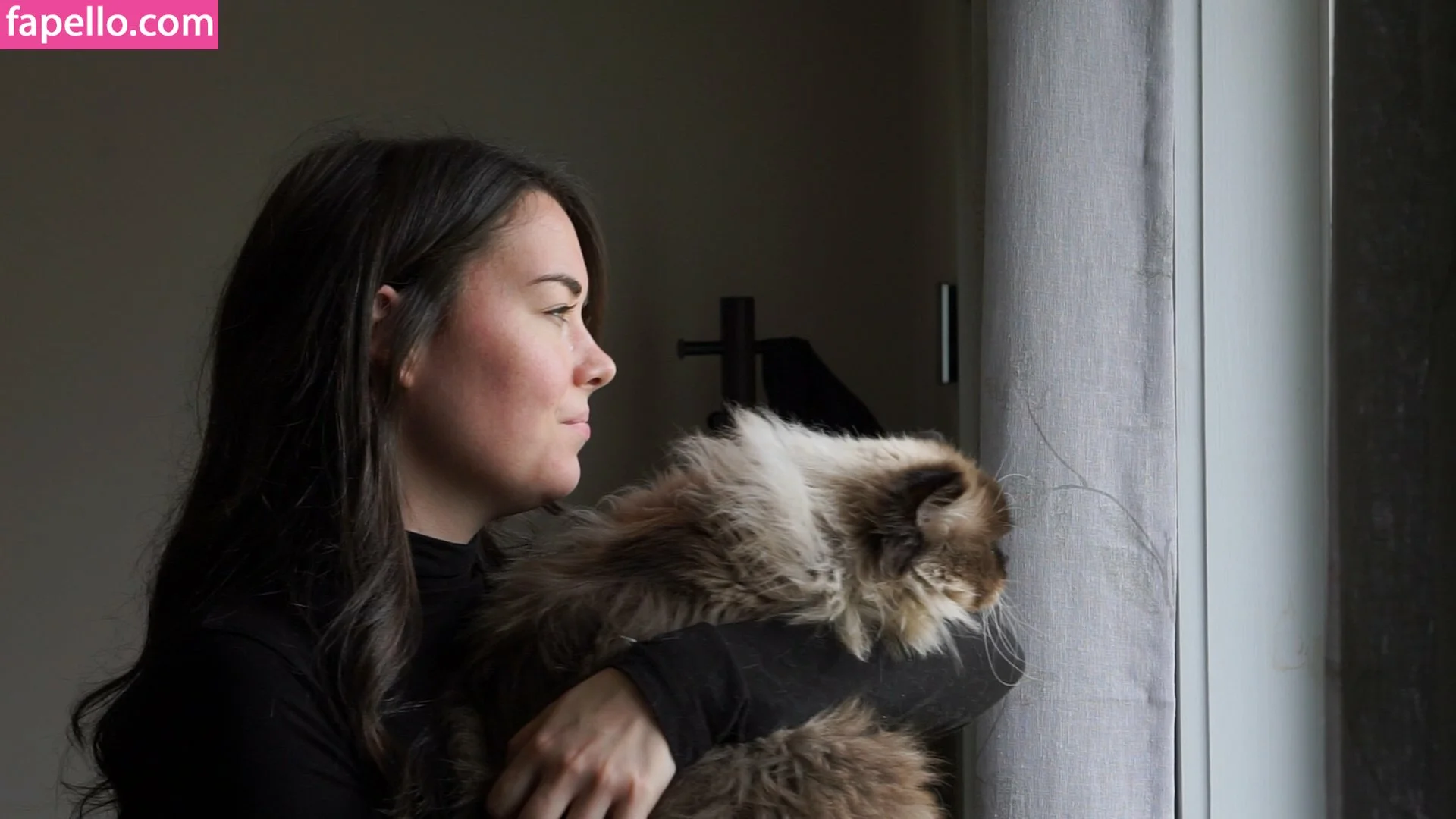 Pmsproxy Onlyfans Photo Gallery 