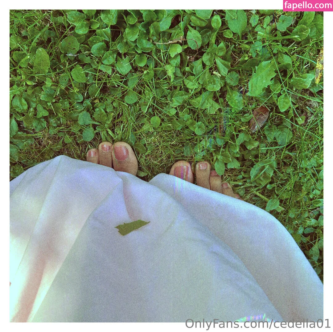 cedella01 Onlyfans Photo Gallery 