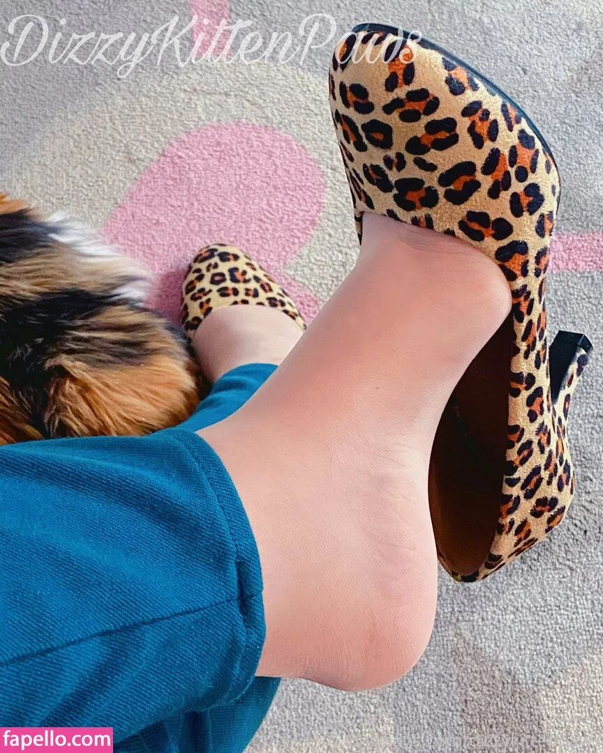 dizzykittenpaws Onlyfans Photo Gallery 