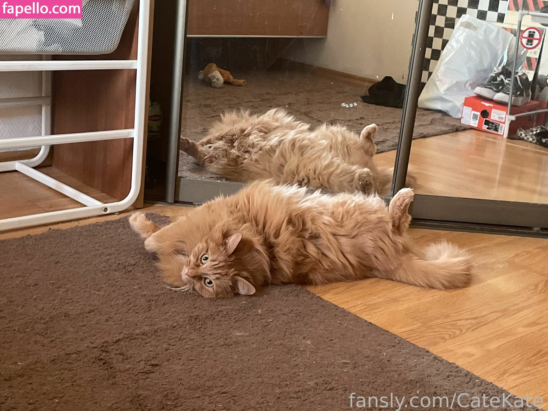 CateKate Onlyfans Photo Gallery 