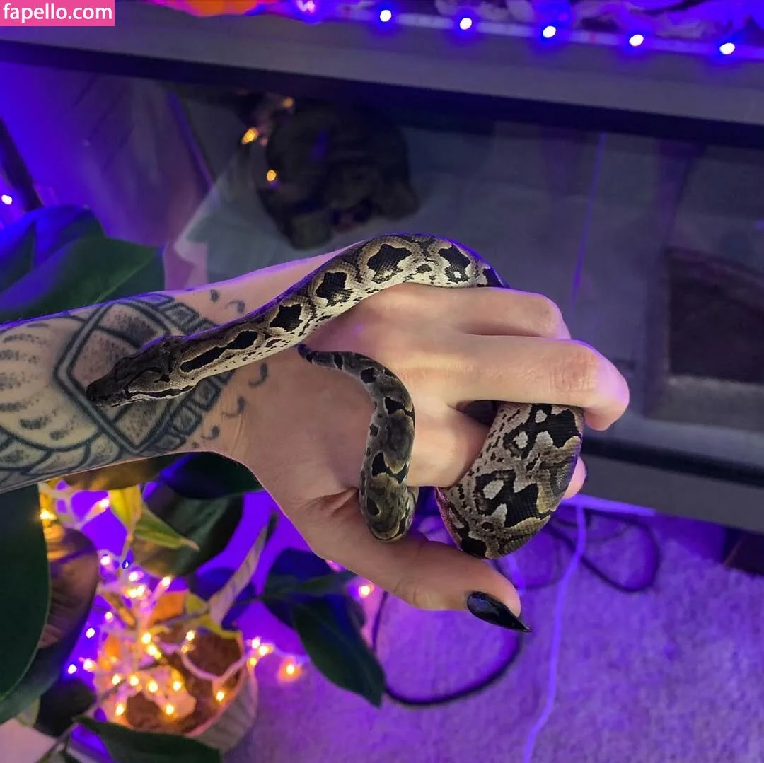 Kat Edwards Onlyfans Photo Gallery 