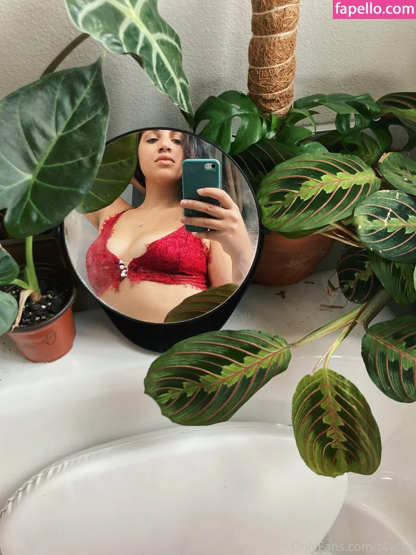 t4ych4 Onlyfans Photo Gallery 