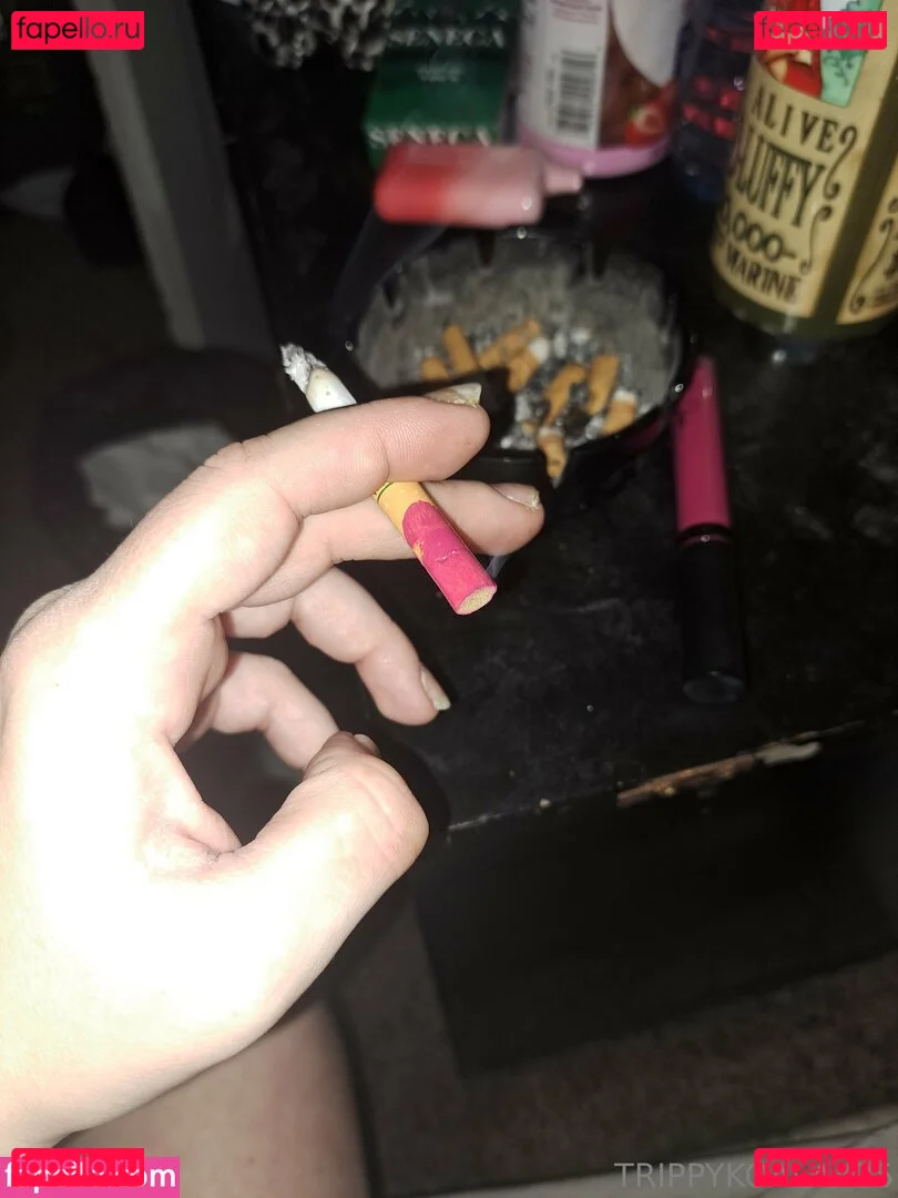 trippykoala425 Onlyfans Photo Gallery 