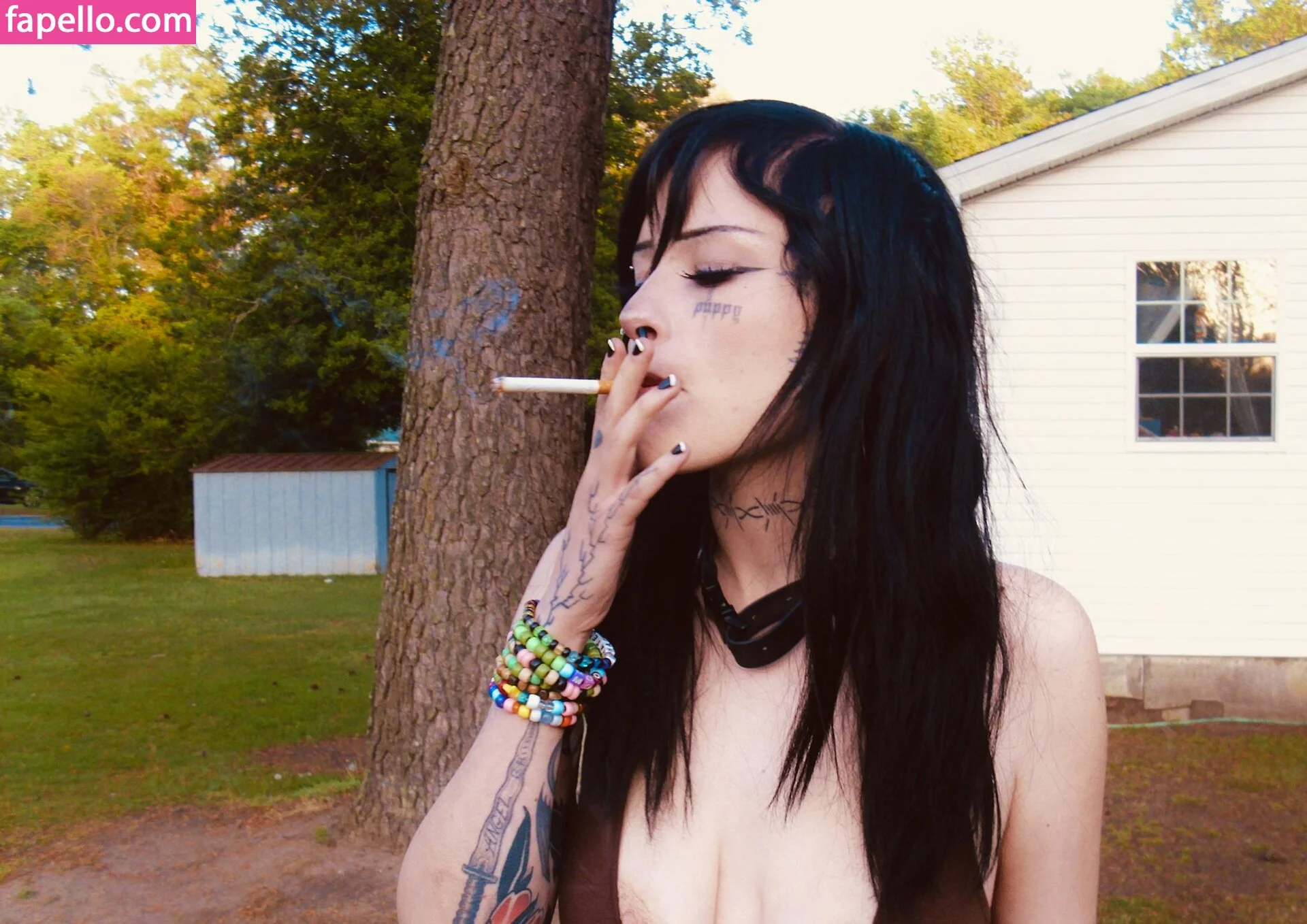 Kennelsent / Lostwetdog Onlyfans Photo Gallery 