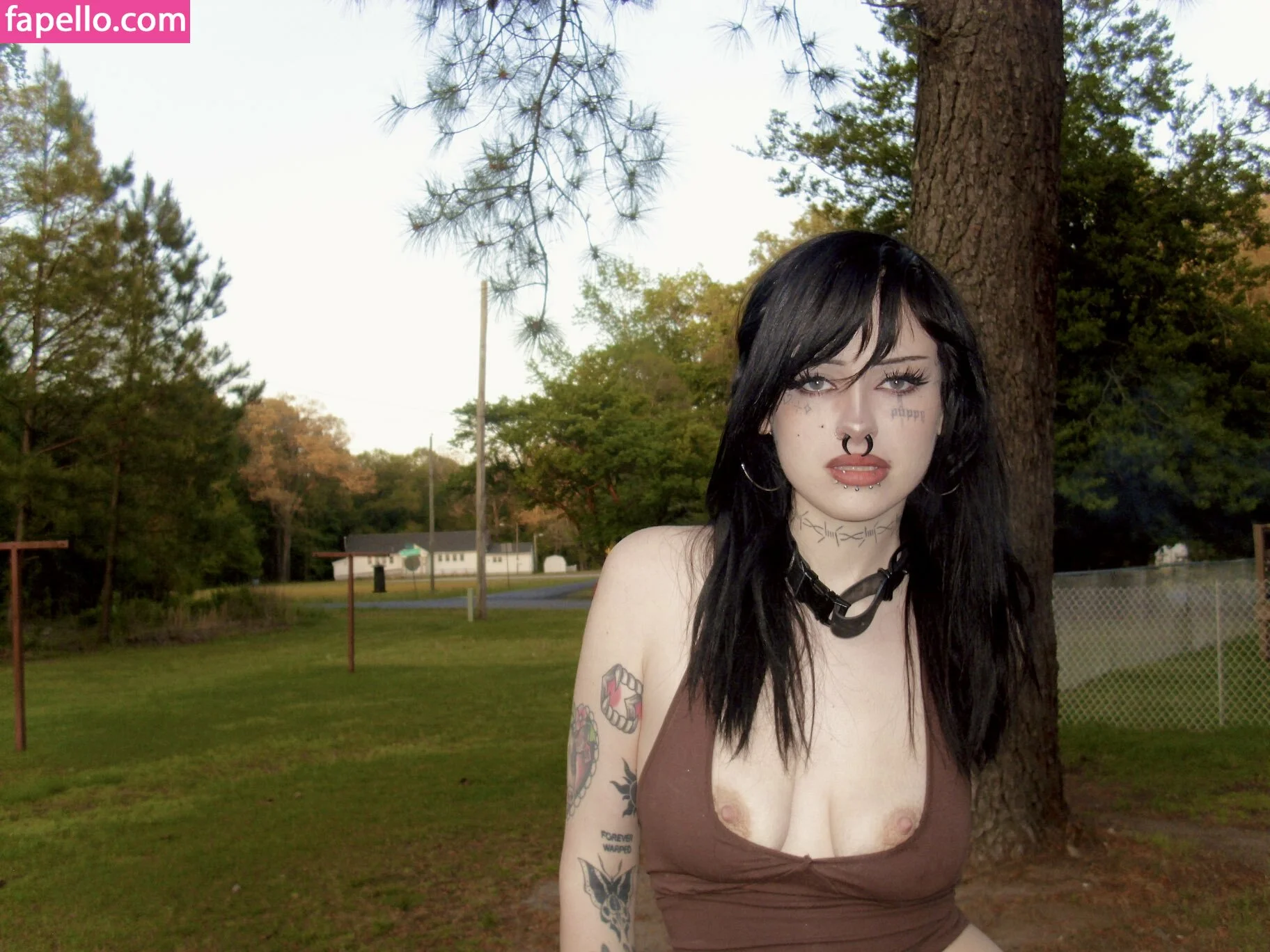 Kennelsent / Lostwetdog Onlyfans Photo Gallery 