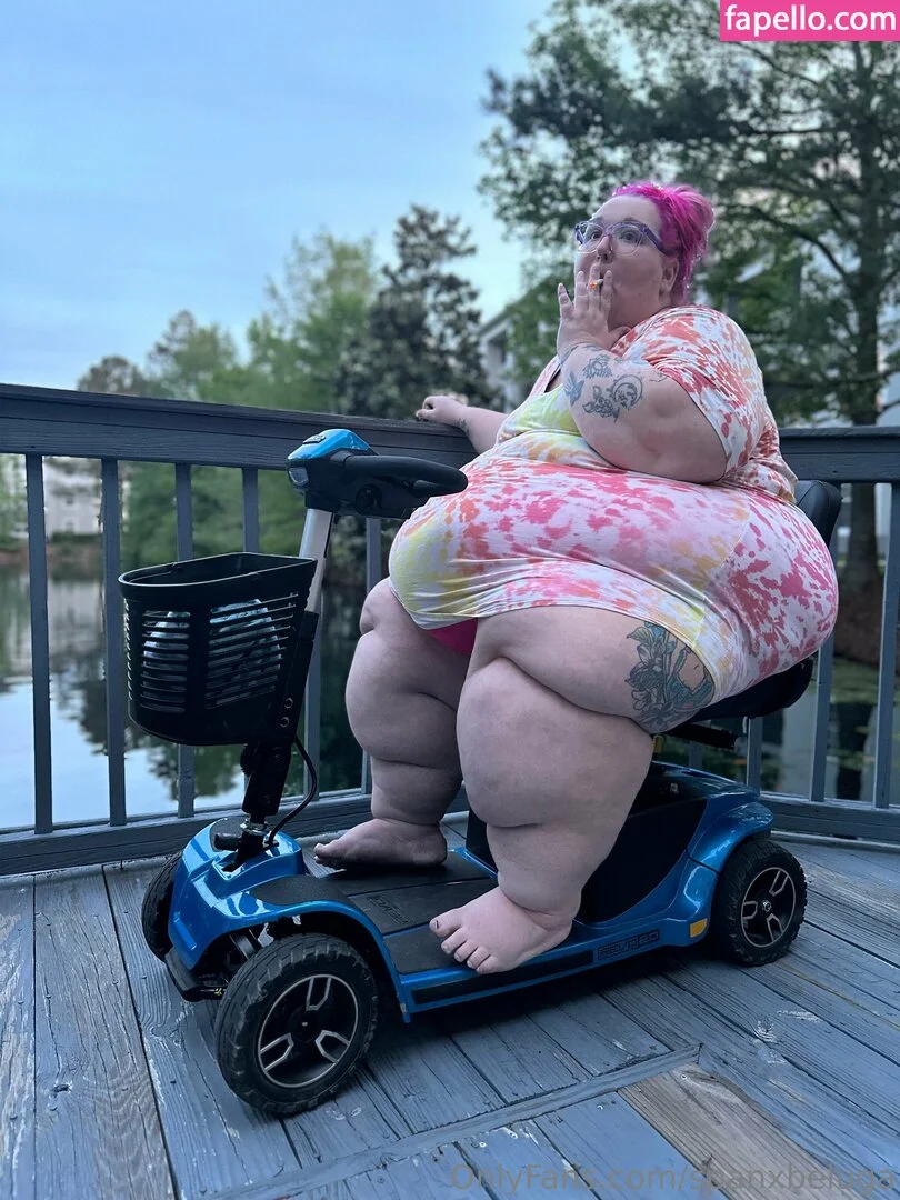 spanxbeluga / spanxbeluga2.1 Onlyfans Photo Gallery 