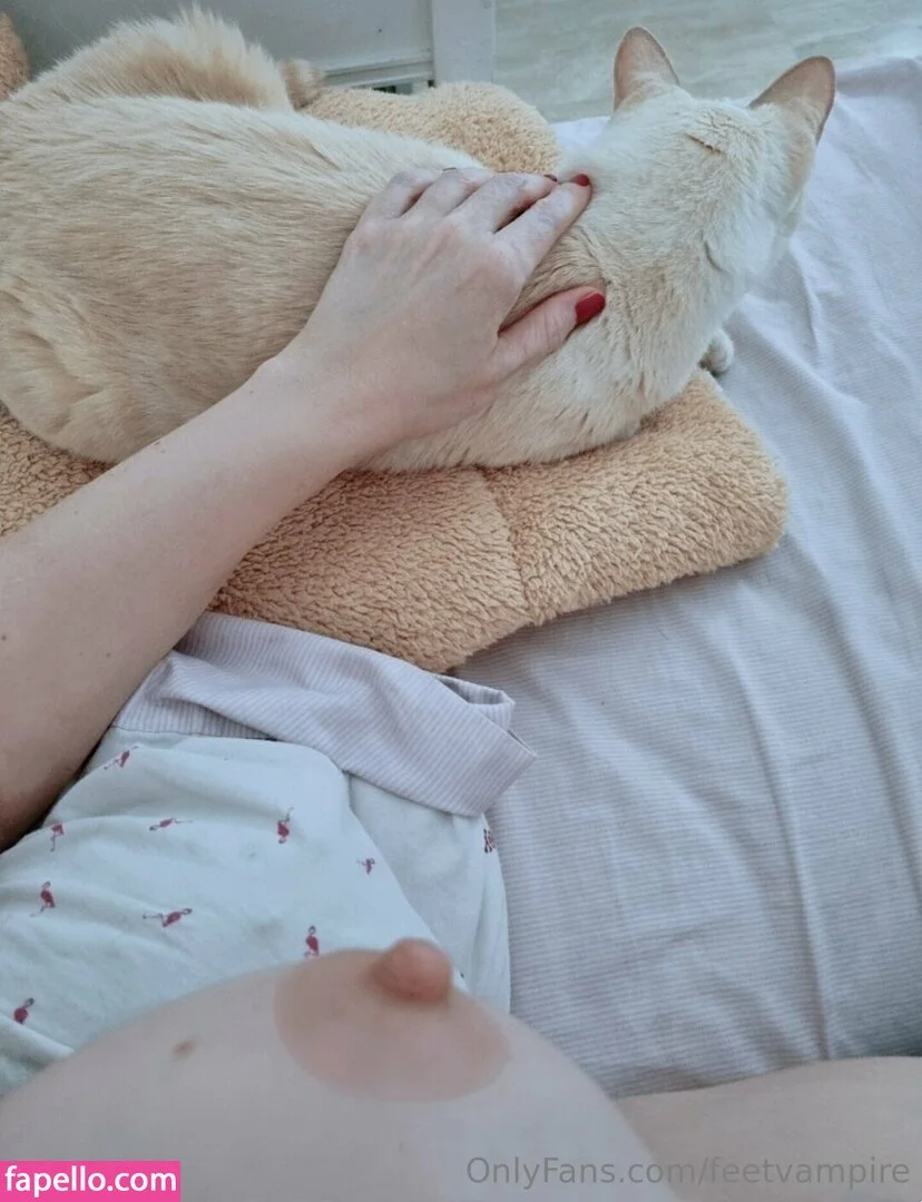 Feetvampire / vampire_feett Onlyfans Photo Gallery 