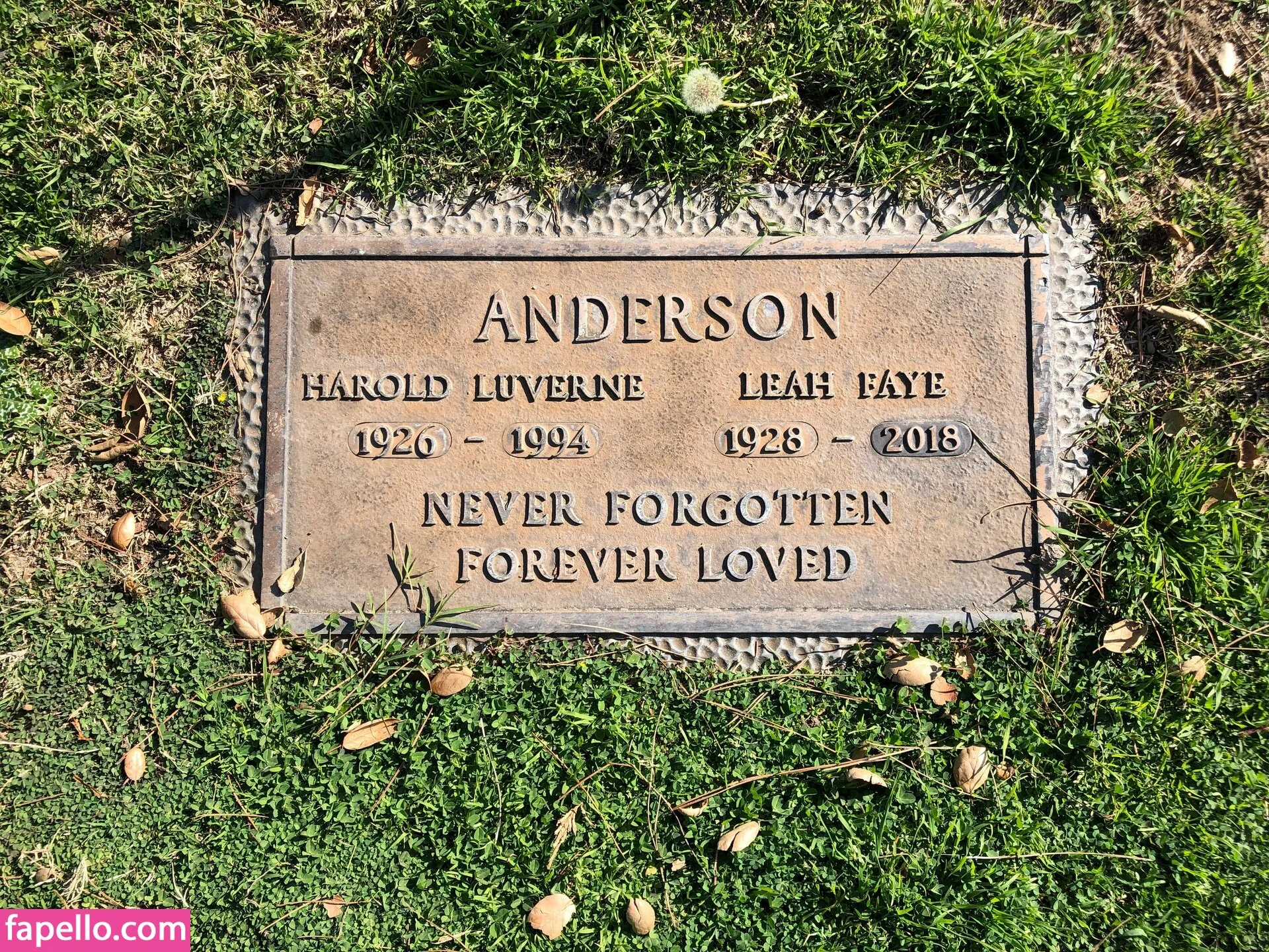 leahfaye / leahfayec Onlyfans Photo Gallery 