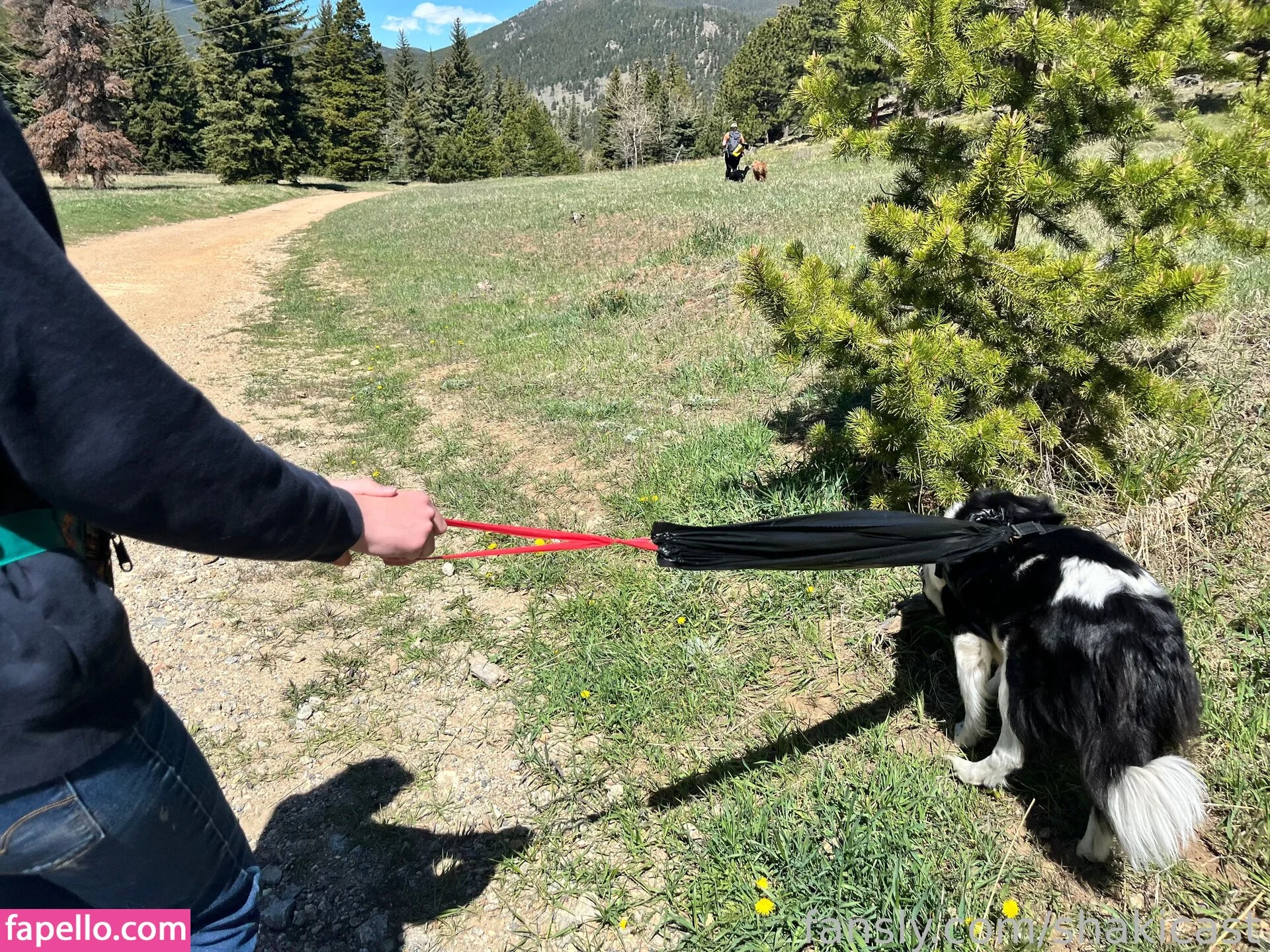 https: / shakicast Onlyfans Photo Gallery 