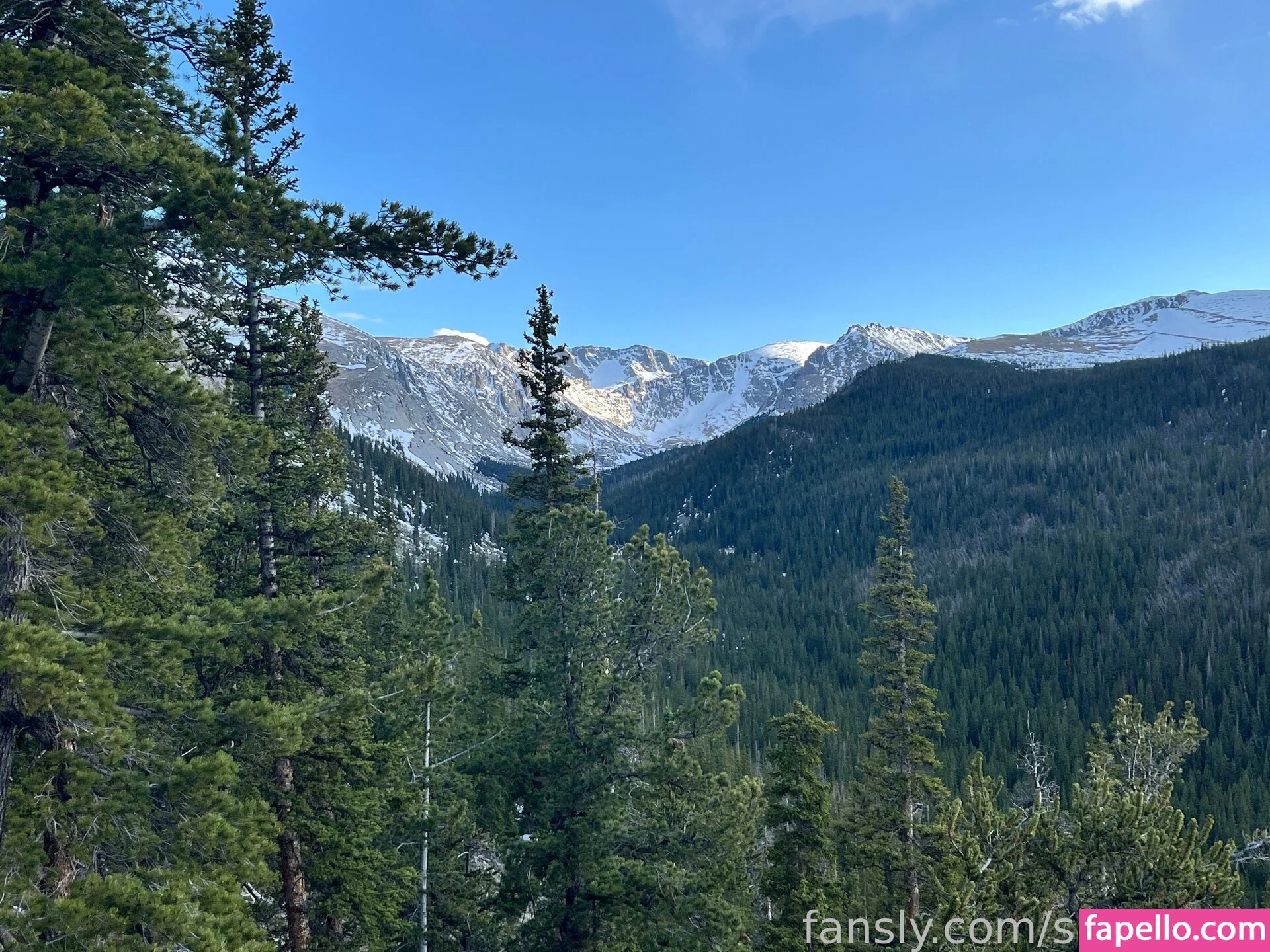 https: / shakicast Onlyfans Photo Gallery 