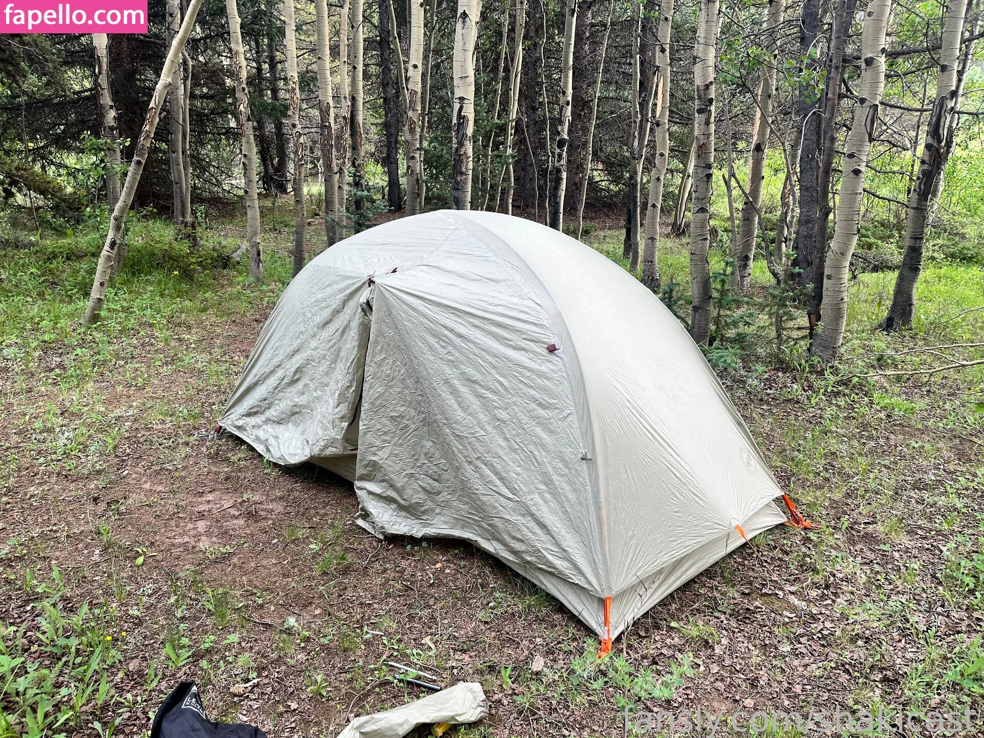 https: / shakicast Onlyfans Photo Gallery 