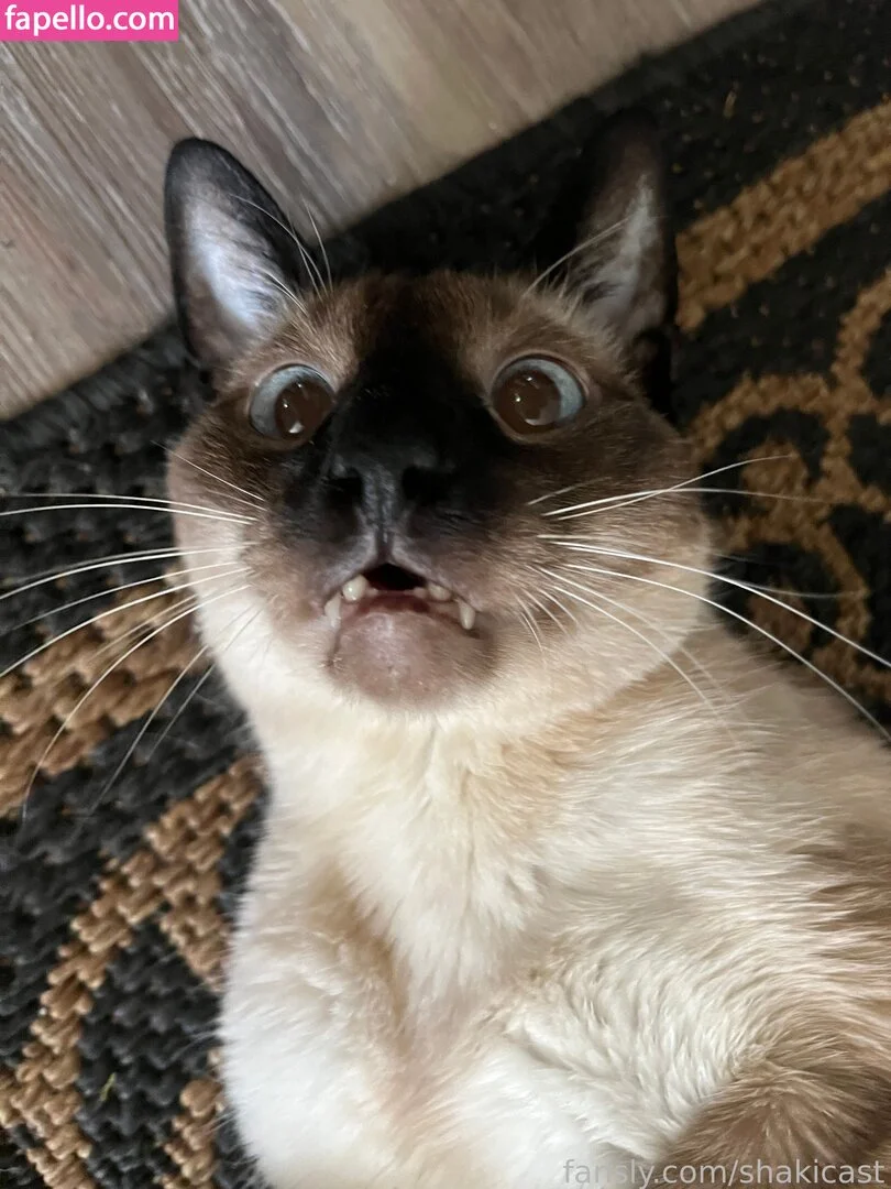 https: / shakicast Onlyfans Photo Gallery 