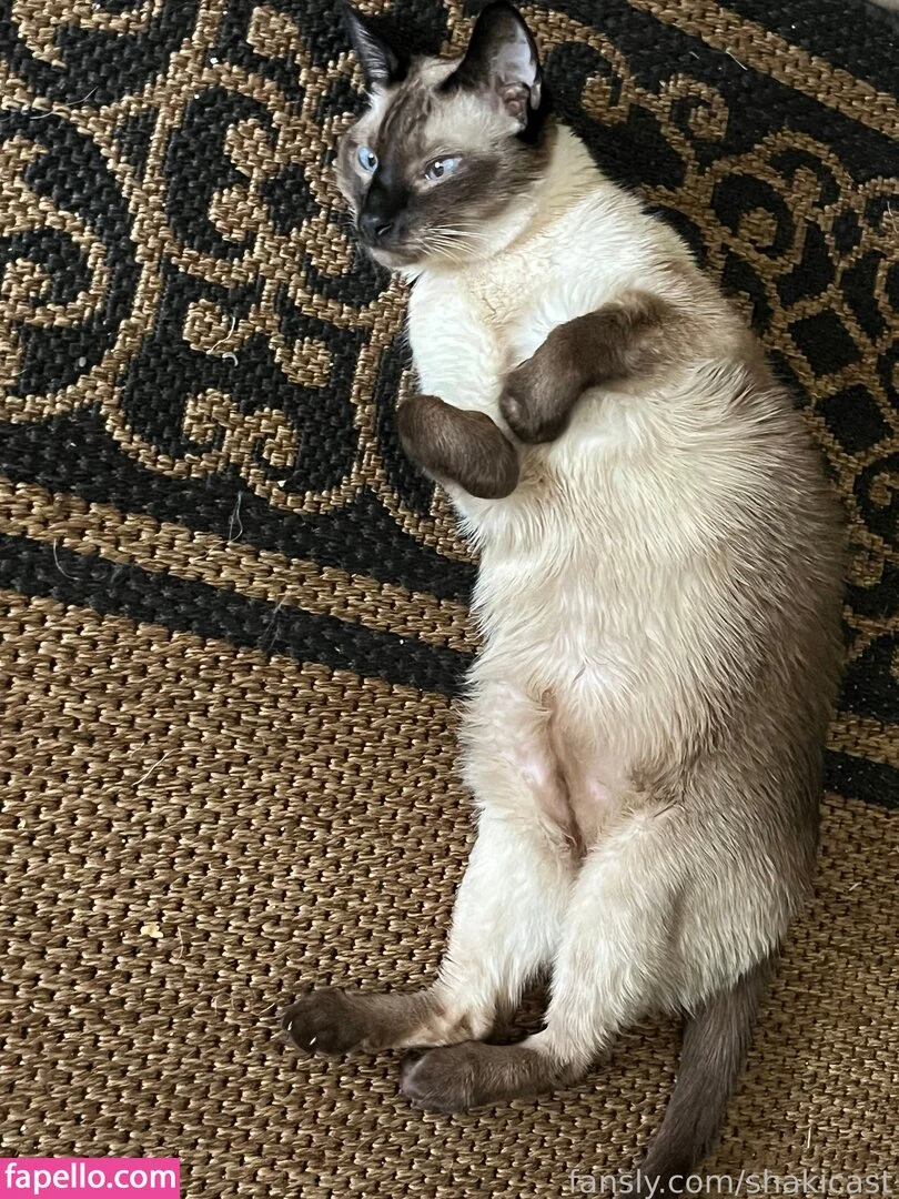 https: / shakicast Onlyfans Photo Gallery 