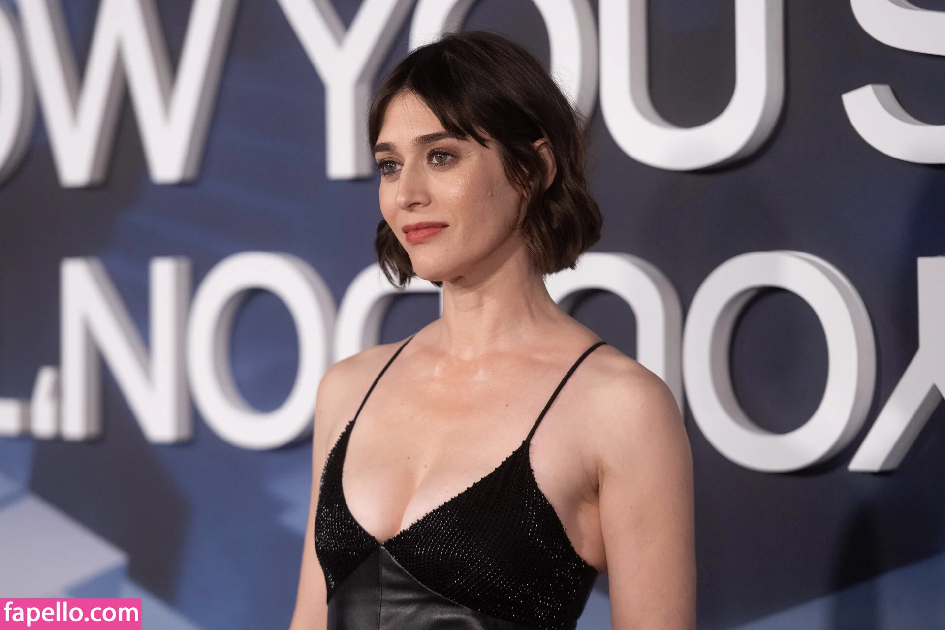Lizzy Caplan / thelizzycaplan Onlyfans Photo Gallery 