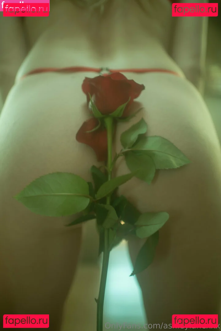 Ashley Lane Onlyfans Photo Gallery 