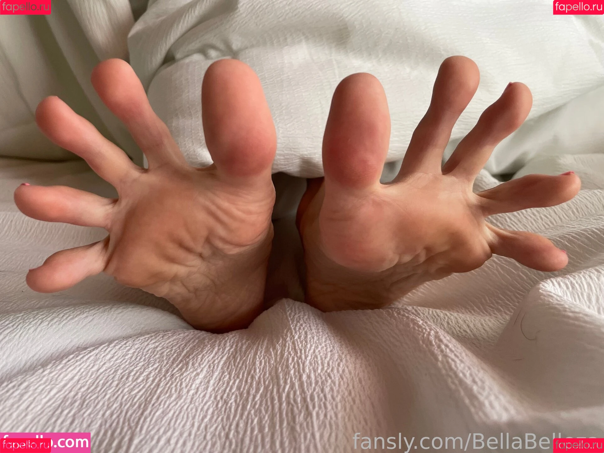 BellaBelleza / _bella_beleza_ Onlyfans Photo Gallery 