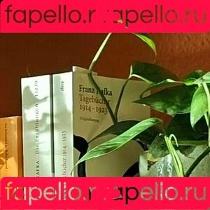 bebiimilx Onlyfans Photo Gallery 