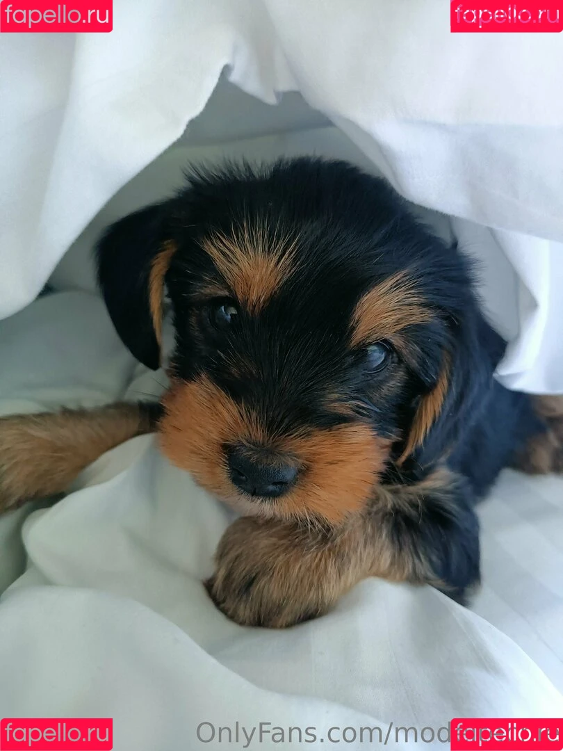 Fan-Pei Koung / modeltechie Onlyfans Photo Gallery 