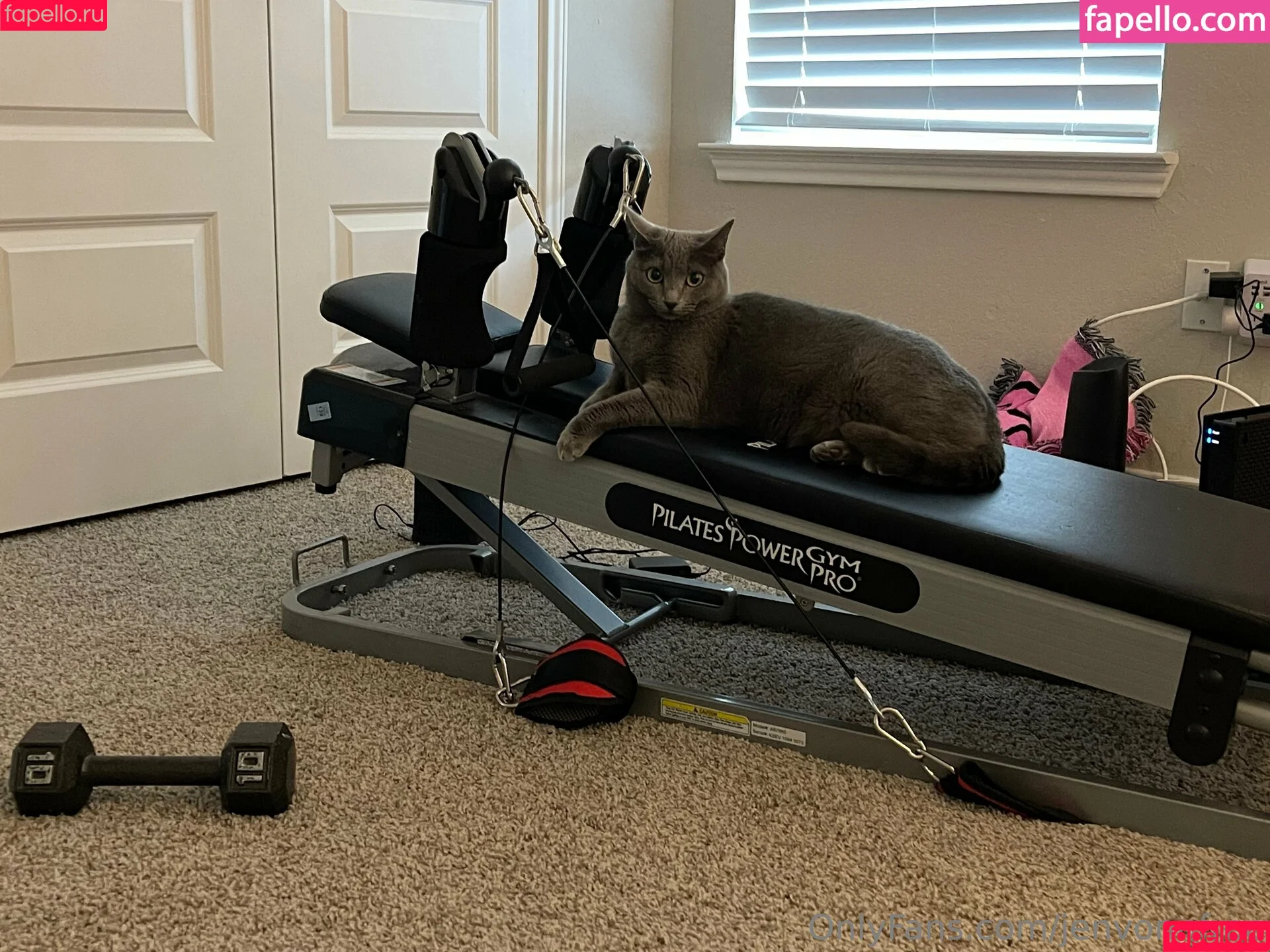 jennfree / jenvonnfree Onlyfans Photo Gallery 