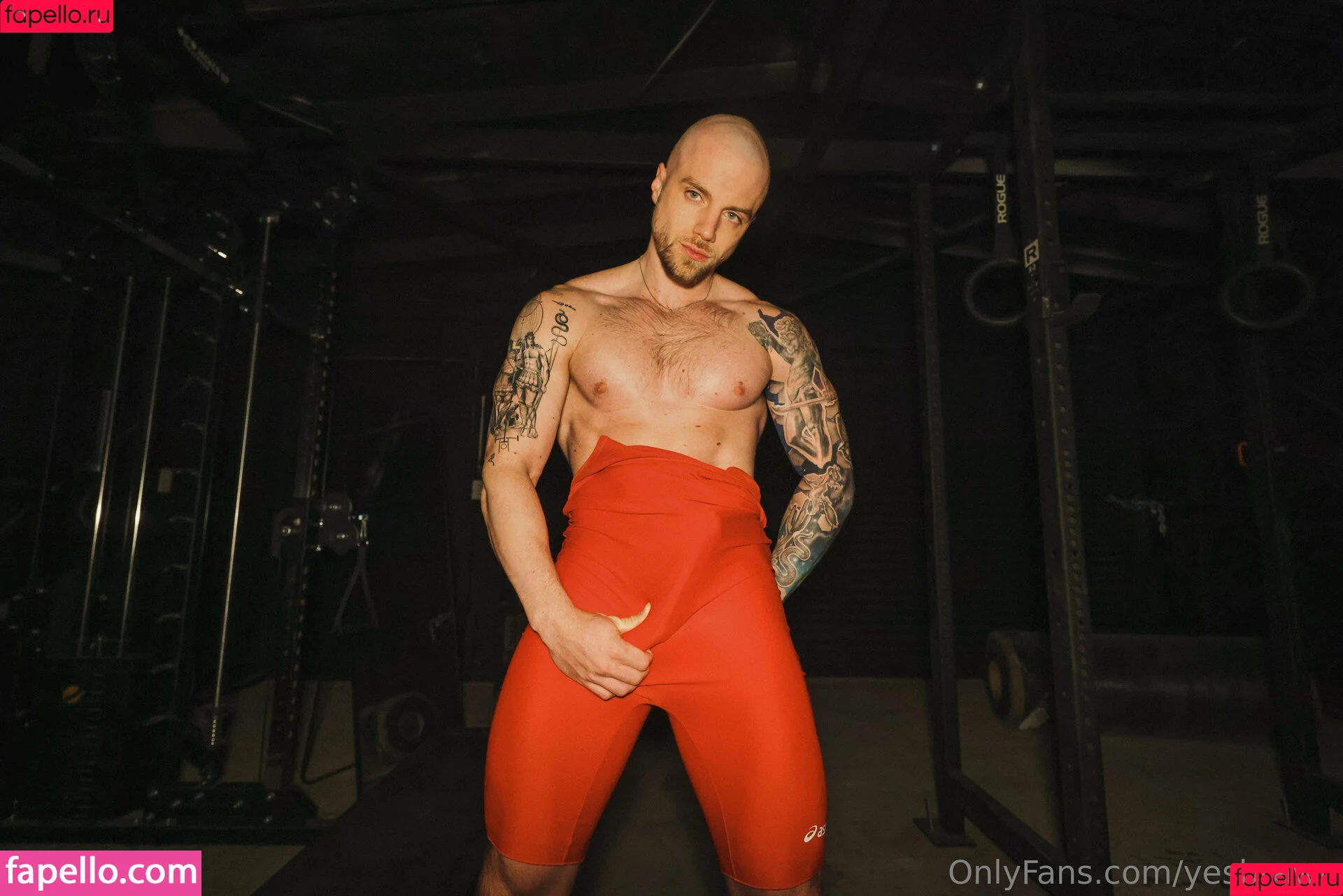 yesbrawn / yesbrawnx Onlyfans Photo Gallery 