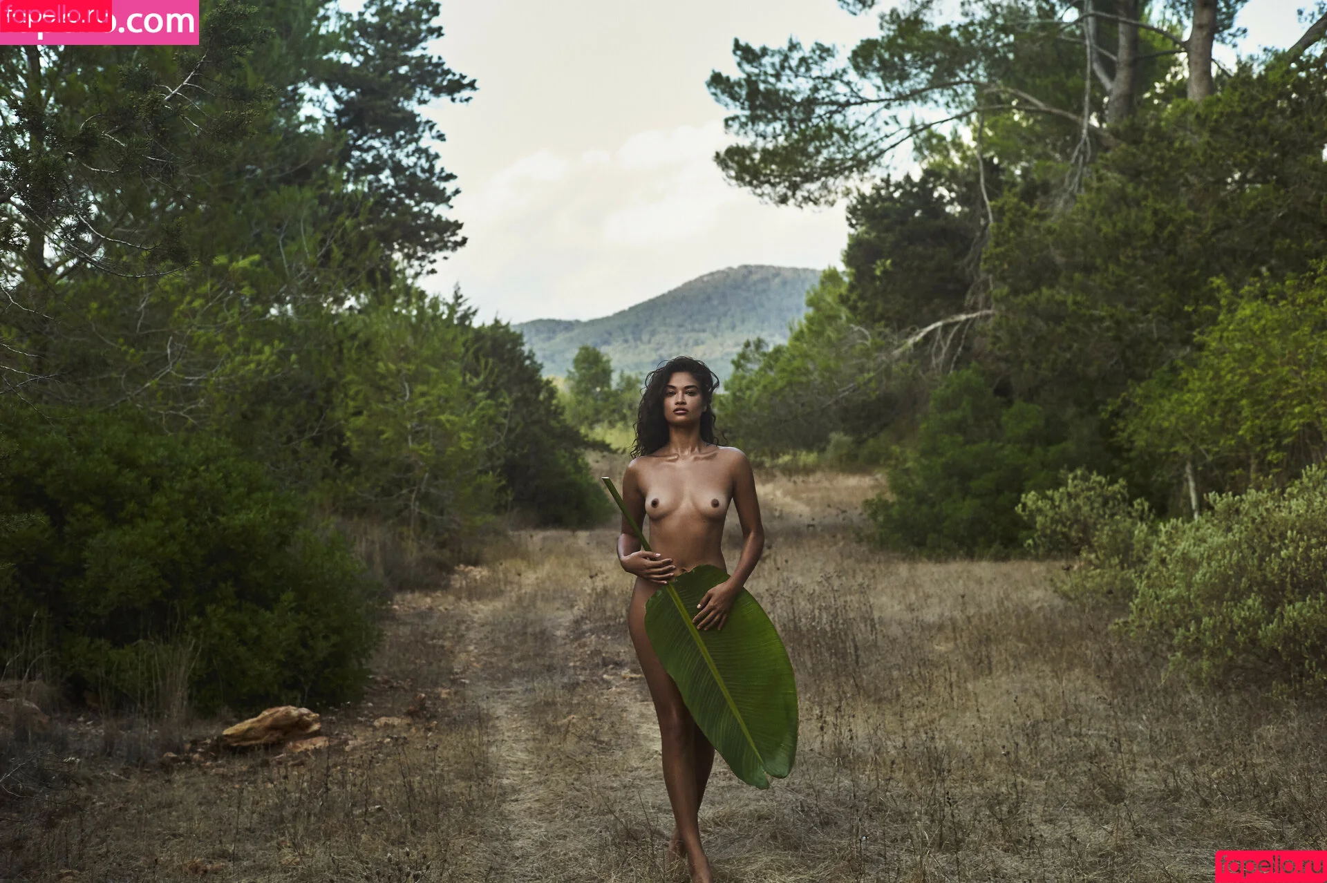 Shanina Shaik / shaninamshaik Onlyfans Photo Gallery 