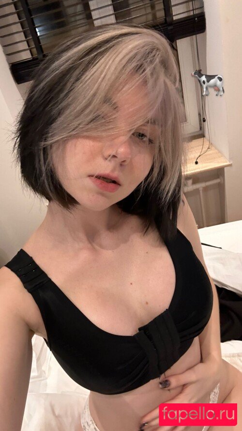 Vixenp / https: / officialvixenv / vixenp_ Onlyfans Photo Gallery 