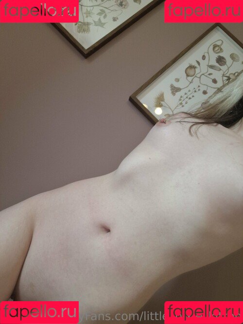 Little Pixie Kitten / little_pixie_kitten / littlepixiekitten Onlyfans Photo Gallery 