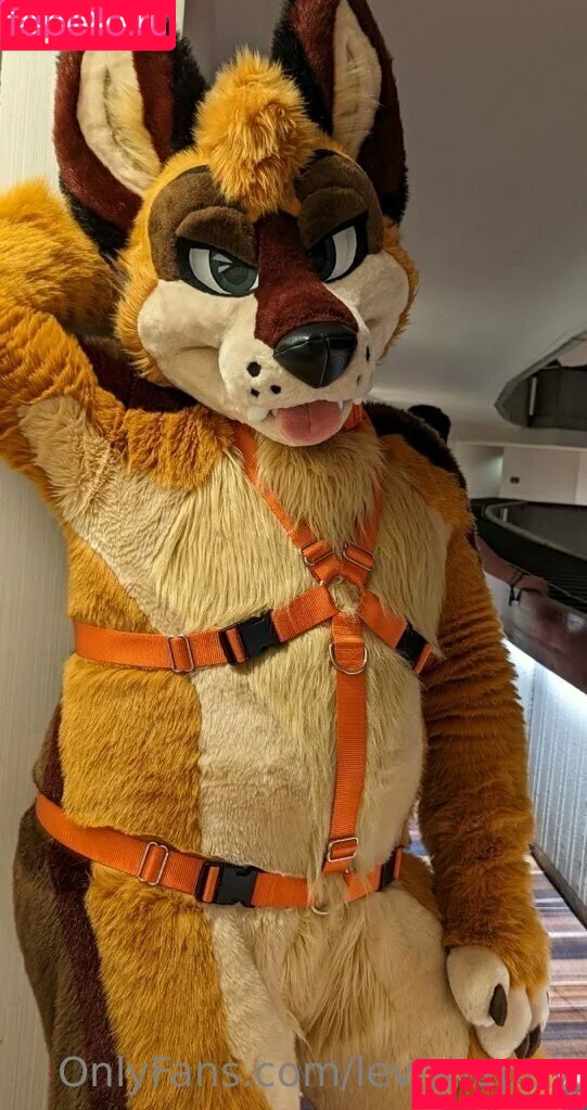 levisheppy / thesillygsd Onlyfans Photo Gallery 